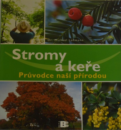 Stromy a keře